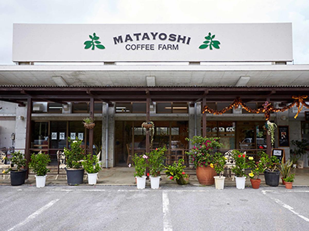 Villa Matayoshi Coffee Farm Higashi Exterior foto